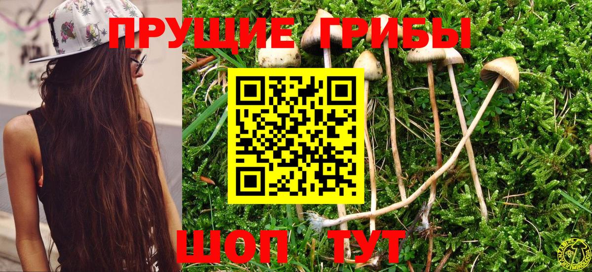 Мефедрон кристаллы  Калининград  Каннабис  А ПВП СОЛЬ   ГАШ  Экстази  NBOMe  Вход с VPN  COCAIN 