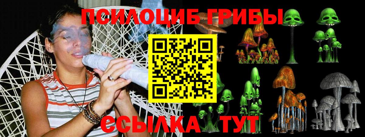 Калининград  Галлюциногенные грибы Psilocybe  Вход с VPN 